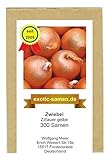 Zwiebel - Zittauer Gelbe (300 Samen) Foto, neu 2024, bester Preis 1,95 € Rezension