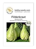 BIO-Kohlsamen Filderkraut Weißkohl Portion Foto, neu 2024, bester Preis 2,35 € Rezension