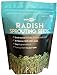 Photo Radish Sprouting Seeds | Non GMO | Grown in USA | (1 Pound) review