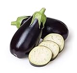 Eggplant Seeds for Planting Home Garden - Container Vegetable Garden - Black Beauty Eggplant Photo, new 2024, best price $5.98 review