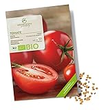 BIO Tomatensamen (Matina) - Tomaten Saatgut aus biologischem Anbau ideal für die Anzucht im Garten, Balkon oder Terrasse Foto, neu 2024, bester Preis 4,90 € Rezension