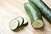 Photo Burpless #26 Hybrid Cucumber Seeds review