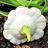 TomorrowSeeds - Early White Patty Pan Seeds - 20+ Count Packet - Bush Scallop Summer Squash Patisson Custard Scallopini Vegetable Seed for Photo, new 2024, best price $3.80 ($0.19 / Count) review