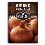 Survival Garden Seeds - Walla Walla Onion Seed for Planting - Packet with Instructions to Plant and Grow Deliciously Sweet Long Day Onions in Your Home Vegetable Garden - Non-GMO Heirloom Variety Photo, new 2024, best price $4.99 review