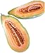 Photo Banana Melon Cucumber Seeds, Exotic and Rare, 120 Heirloom Seeds Per Packet, Non GMO Seeds, Isla's Garden Seeds review