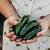 Nadapeno Jalapeno Pepper - 25 Seeds - Heirloom & Open-Pollinated Variety, Non-GMO Vegetable Seeds for Planting in The Home Garden, Thresh Seed Company Photo, new 2024, best price $7.99 review