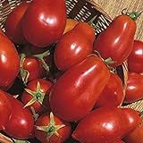 Shop Meeko Tomate - San Marzano - 75 graines Photo, nouveau 2024, meilleur prix 4,59 € examen