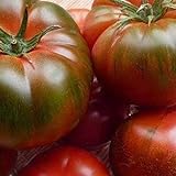 Tomate Muchamiel 25 x Samen aus Portugal 100% natürlich Aufzucht/absolute Rarität/Massenträger (Muchamiel) Foto, neu 2024, bester Preis 2,99 € Rezension