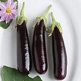 David's Garden Seeds Eggplant Hansel (Purple) 25 Non-GMO, Hybrid Seeds Photo, new 2024, best price $3.45 review