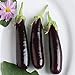 Photo David's Garden Seeds Eggplant Hansel (Purple) 25 Non-GMO, Hybrid Seeds review
