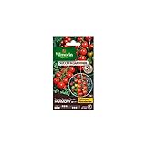 Vilmorin - Sachet graines Tomate Harmony HF1 Photo, nouveau 2024, meilleur prix 7,75 € examen