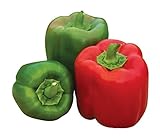 Burpee 'Sweet Candy Apple' Hybrid | Bell Pepper Photo, new 2024, best price $8.38 ($0.28 / Count) review