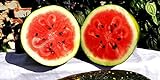 25 Moon and Star Watermelon Seeds | Non-GMO | Heirloom | Instant Latch Garden Seeds Photo, new 2024, best price $7.95 review