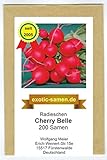 Radieschen - Cherry Belle - schnellwüchsig - früh reifend - köstlich - 200 Samen Foto, neu 2024, bester Preis 1,95 € Rezension