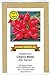 Foto Radieschen - Cherry Belle - schnellwüchsig - früh reifend - köstlich - 200 Samen Rezension