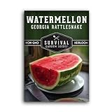 Survival Garden Seeds - Georgia Rattlesnake Watermelon Seed for Planting - Packet with Instructions to Plant and Grow Melons in Your Home Vegetable Garden - Giant Super Sweet Non-GMO Heirloom Variety Photo, new 2024, best price $4.99 review