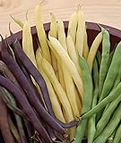 Burpee Three Color Blend Bush Bean Seeds 2 ounces of seed Photo, new 2024, best price $5.66 review