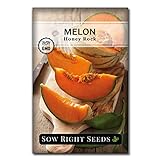 Sow Right Seeds - Honey Rock Melon Seed for Planting  - Non-GMO Heirloom Packet with Instructions to Plant a Home Vegetable Garden Photo, new 2024, best price $4.99 review