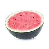 50 Sugar Baby Watermelon Seeds for Planting - Heirloom Non-GMO USA Grown Premium Fruit Seeds for Planting a Home Garden - Small Watermelon Citrullus Lanatus by RDR Seeds Photo, new 2024, best price $4.99 ($0.10 / Count) review
