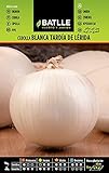 Cebolla Grande tardía de LERIDA Foto, nuevo 2024, mejor precio 1,60 € revisión