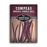 Survival Garden Seeds - Knuckle Purple Hull Cowpeas Seed for Planting - Packet with Instructions to Plant and Grow Delicious & Nutritious Peas in Your Home Vegetable Garden - Non-GMO Heirloom Variety Photo, new 2024, best price $4.99 review