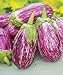 Photo Exotic Listada de Gandia Eggplant Seed for Planting | 50+ Seeds | Ships from Iowa, USA | Non-GMO Exotic Heirloom Vegetables | Great Gardening Gift review