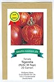 Tigerella - rot-gelb gestreifte Stab-Tomate - alte Sorte - 20 Samen Foto, neu 2024, bester Preis 1,95 € Rezension
