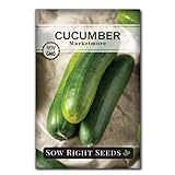 Sow Right Seeds - Marketmore Cucumber Seeds for Planting - Non-GMO Heirloom Packet with Instructions to Plant and Grow an Outdoor Home Vegetable Garden - Vigorous Productive - Wonderful Gardening Gift Photo, new 2024, best price $4.99 review