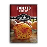 Survival Garden Seeds - Hillbilly Tomato Seed for Planting - Packet with Instructions to Plant and Grow Uniquely Colored Potato Leaf Tomatoes in Your Home Vegetable Garden - Non-GMO Heirloom Variety Photo, new 2024, best price $4.99 review