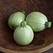 Photo David's Garden Seeds Zucchini Round Cue Ball (Green) 25 Non-GMO, Hybrid Seeds review