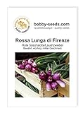Zwiebelsamen Rossa Lunga di Firenze Lauchzwiebel Portion Foto, neu 2024, bester Preis 1,75 € Rezension