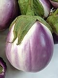 Rosa Bianca Eggplant Seeds, 100+ Heirloom Seeds Per Packet, (Isla's Garden Seeds), Non GMO Seeds, Botanical Name: Solanum melongena Photo, new 2024, best price $5.99 ($0.06 / Count) review
