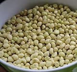 David's Garden Seeds Southern Pea (Cowpea) Texas Cream 8 4435 (Tan) 100 Non-GMO, Open Pollinated Seeds Photo, new 2024, best price $3.45 review