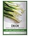 Photo Green Onion Seeds for Planting - Tokyo Long White Bunching is A Great Heirloom, Non-GMO Vegetable Variety- 200 Seeds Great for Outdoor Spring, Winter and Fall Gardening by Gardeners Basics review