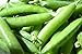 Photo Sugar Ann Snap Pea Garden Seeds, 50 Heirloom Seeds Per Packet, Non GMO Seeds review