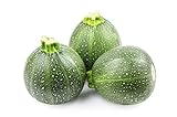 Round Zucchini Summer Squash Seeds, aka: Eight Ball Zucchini, 40 Heirloom Seeds Per Packet, Non GMO Seeds, Botanical Name: Cucurbirta pepo, Isla's Garden Seeds Photo, new 2024, best price $5.89 ($0.15 / Count) review