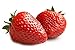 Photo MOCCUROD 150pcs Giant Strawberry Seeds Evergreening Plant Fruit Seeds Sweet and Delicious review