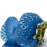 Samen für Gartenarbeit, 100 Stück Erdbeer-Samen, nahrhaft, köstlich, seltene Farben, Obst und Gemüse, Samen – Blau Foto, neu 2024, bester Preis 2,39 € Rezension