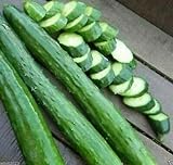 Armenian Dark Green Cucumber Seeds, 100 Heirloom Seeds Per Packet, Non GMO Seeds, Botanical Name: Cucumis sativus, Isla's Garden Seeds Photo, new 2024, best price $6.25 ($0.06 / Count) review