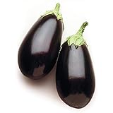 David's Garden Seeds Eggplant Night Shadow (Purple) 25 Non-GMO, Hybrid Seeds Photo, new 2024, best price $3.45 review