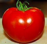 Celebrity Tomato 45 Seeds -Disease Resistant! Photo, new 2024, best price $2.99 review