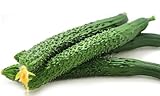 Cucumber Seeds for Planting Vegetables and Fruits-Asian Suyo Long Cucumber Plant Seeds,Burpless Non GMO Garden Seeds Vegetable Seeds,Oriental Chinese Cucumber Seeds-11ct Veggie Seeds China Long Hybrid Photo, new 2024, best price $3.86 ($0.35 / Count) review