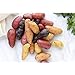 Photo Simply Seed - 10 Piece - Fingerling Potato Seed Mix - Non GMO - Naturally Grown - Order Now for Spring Planting review