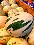 10 Snowball Melon Seeds | Hard to Find- Ships from Iowa, USA - Snow Leopard Melon Seeds Photo, new 2024, best price $10.96 ($1.10 / Count) review
