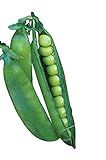 Burpee Easy Peasy Pea Seeds 200 seeds Photo, new 2024, best price $7.13 ($0.04 / Count) review