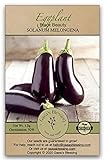 Gaea's Blessing Seeds - Eggplant Seeds (200 Seeds) Black Beauty Heirloom Non-GMO Seeds with Easy to Follow Planting Instructions - 92% Germination Rate Net Wt. 1.0g Photo, new 2024, best price $5.99 review