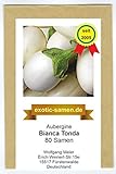 Aubergine - weiß - rund - italienisch - mittelfrüh - Bianca Tonda - 80 Samen Foto, neu 2024, bester Preis 2,39 € Rezension