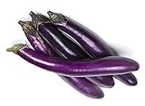 Eggplant Seeds for Planting Vegetables and Fruits(Ping Tung Long Purple Eggplant)for Home Vegetable Garden.Non GMO Heirloom Garden Seeds for Planting Vegetables-50 Ping Tung Long Veggie Seeds屏东茄 Photo, new 2024, best price $1.97 ($0.00 / Count) review