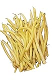 Burpee Golden Wax Organic Bush Bean Seeds 1 ounces of seed Photo, new 2024, best price $7.09 review