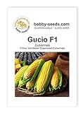 Gemüsesamen Gucio F1 Zuckermais Portion Foto, neu 2024, bester Preis 2,35 € Rezension